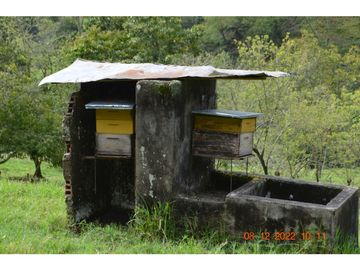 place photo 33