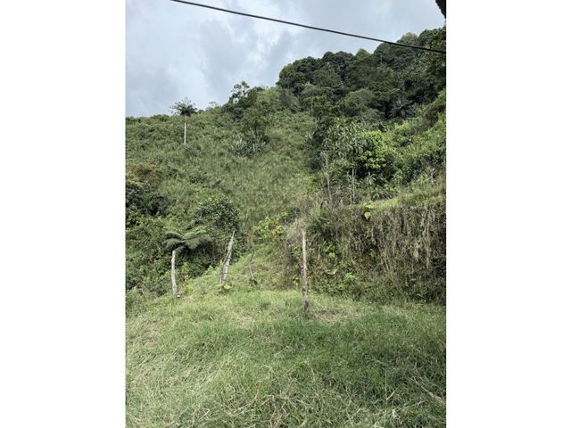 place photo 48