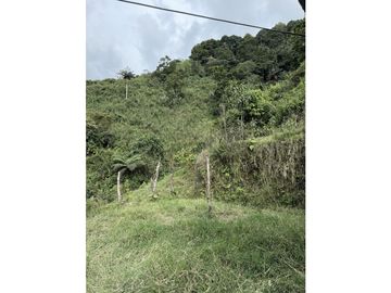 place photo 48