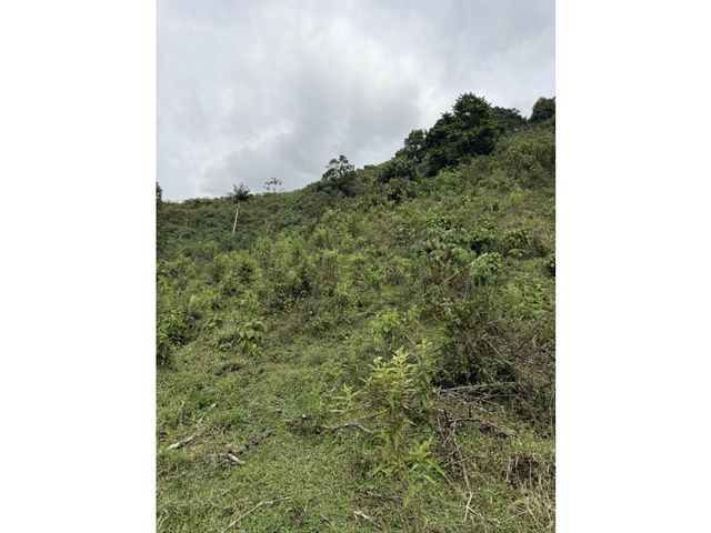 place photo 47