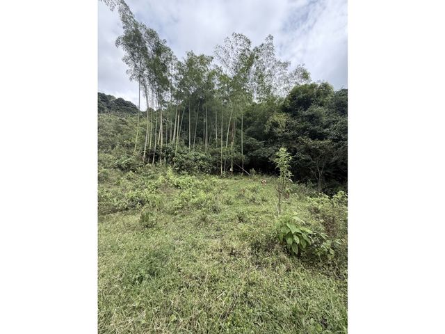 place photo 45