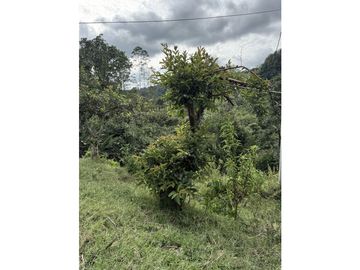 place photo 49