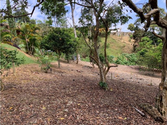 place photo 47