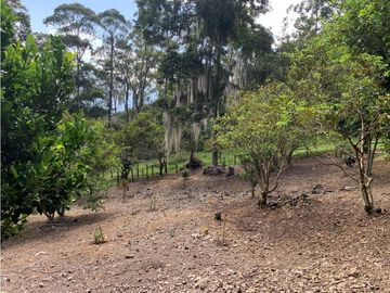 place photo 51