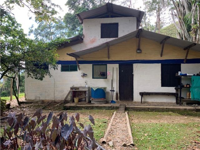 place photo 55