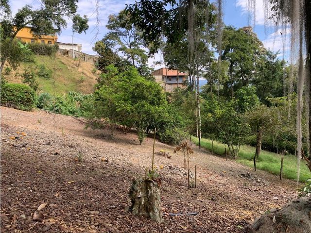 place photo 46