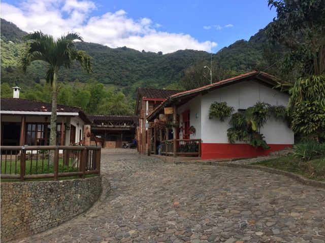 place photo 43
