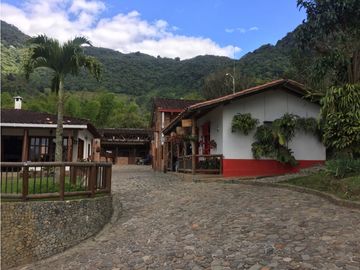 place photo 43
