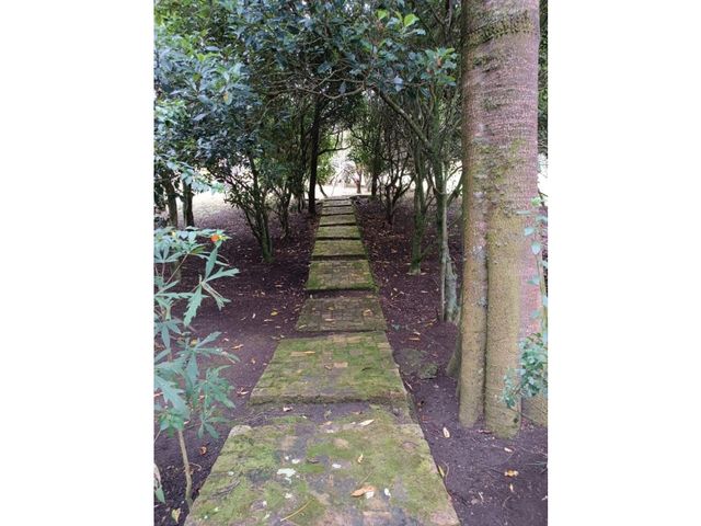 place photo 71