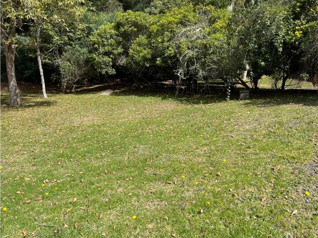 place photo 44