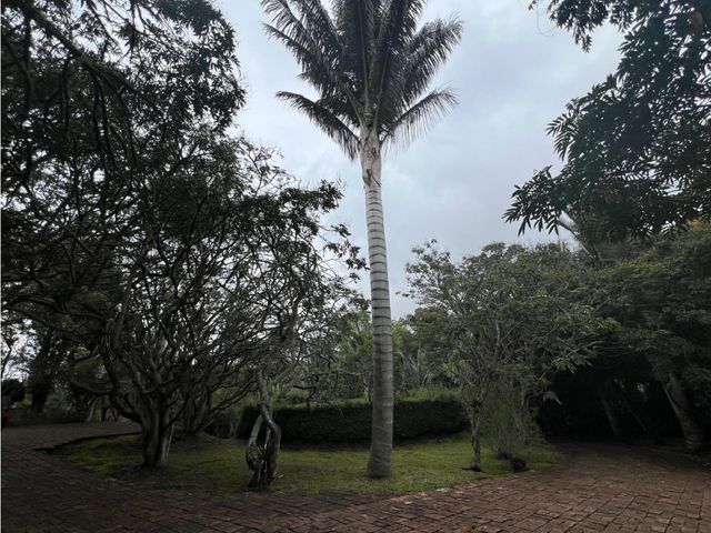 place photo 65