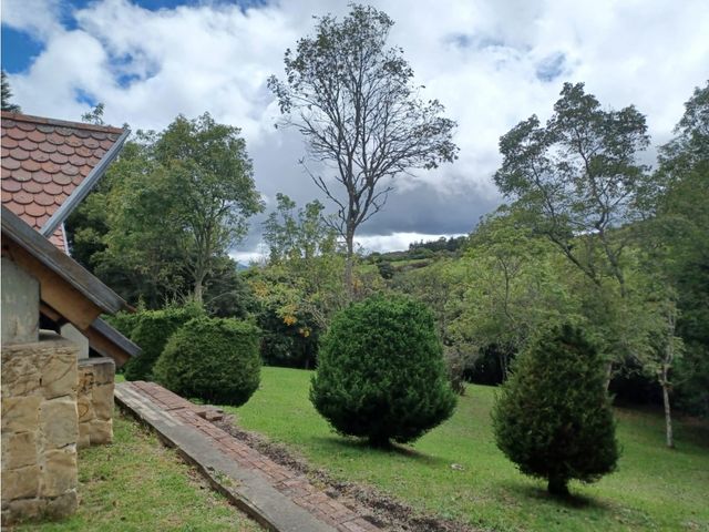 place photo 64