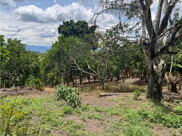 place photo 40