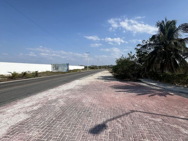 place photo 15
