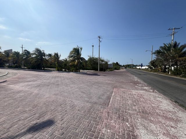 place photo 16