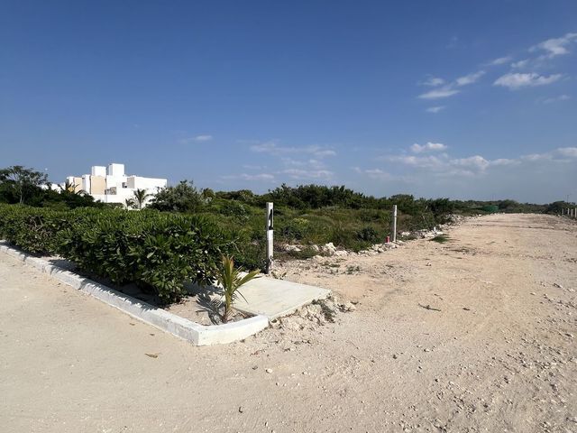 place photo 18