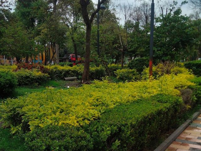 place photo 15