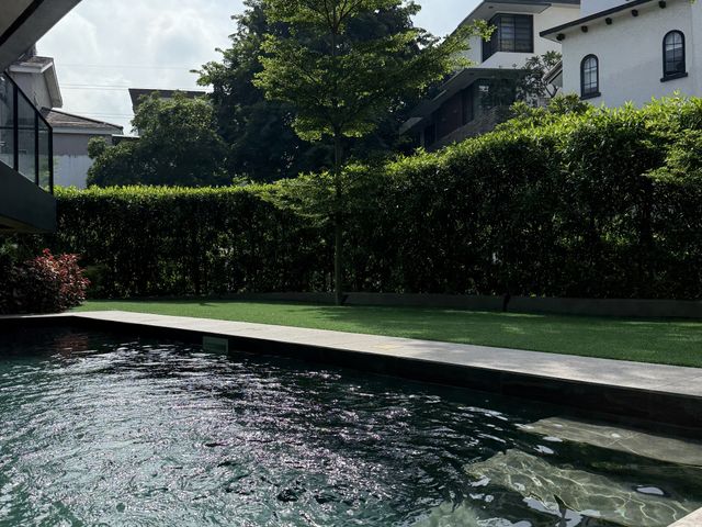 place photo 40