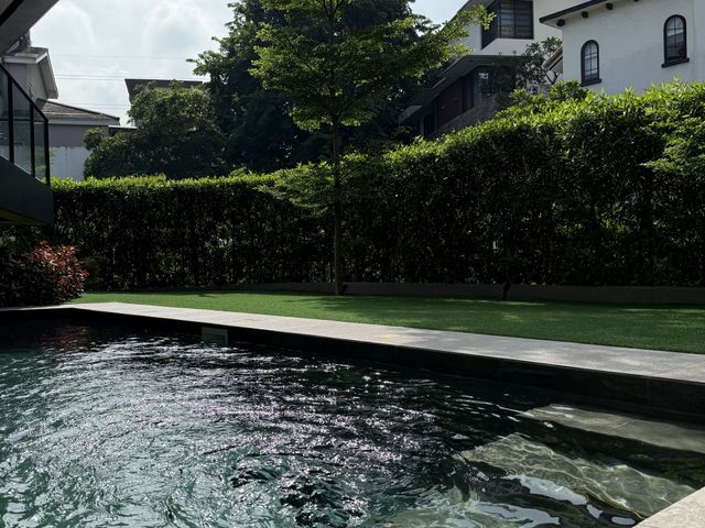 place photo 39