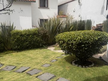 place photo 40