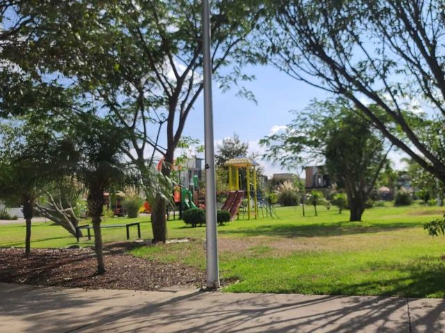 place photo 31