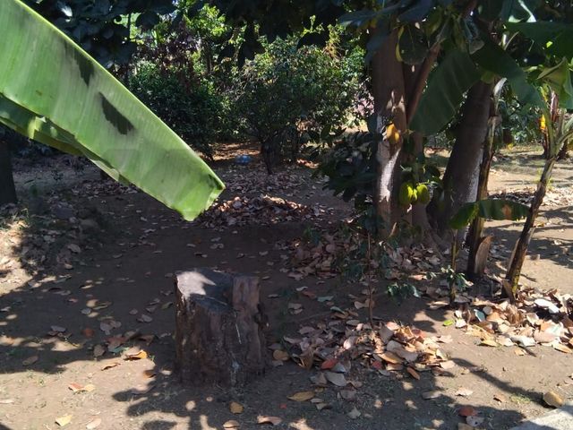 place photo 16