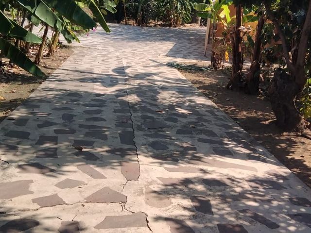 place photo 17