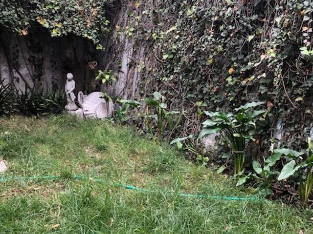place photo 22