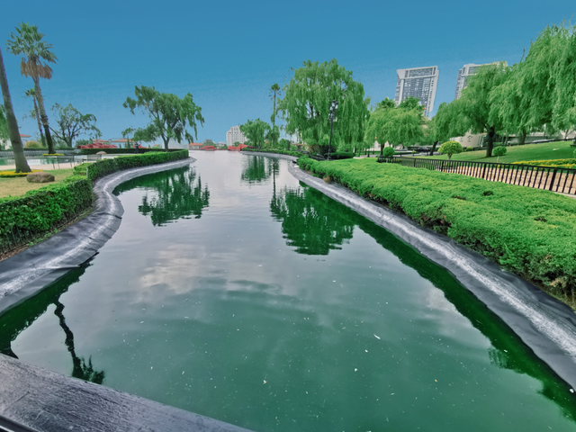 place photo 46