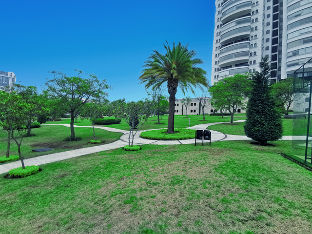 place photo 43