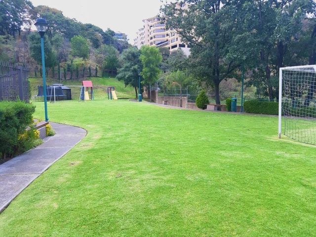 place photo 36