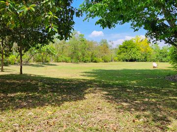 place photo 59