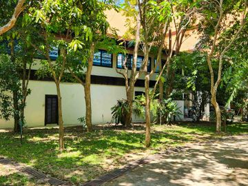 place photo 61
