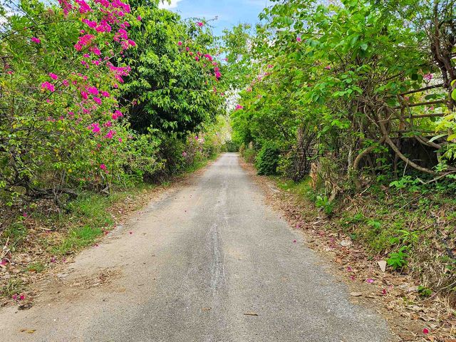 place photo 58
