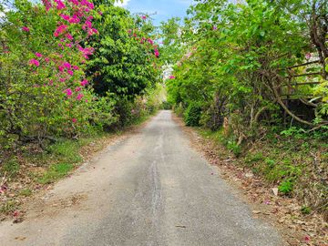 place photo 58