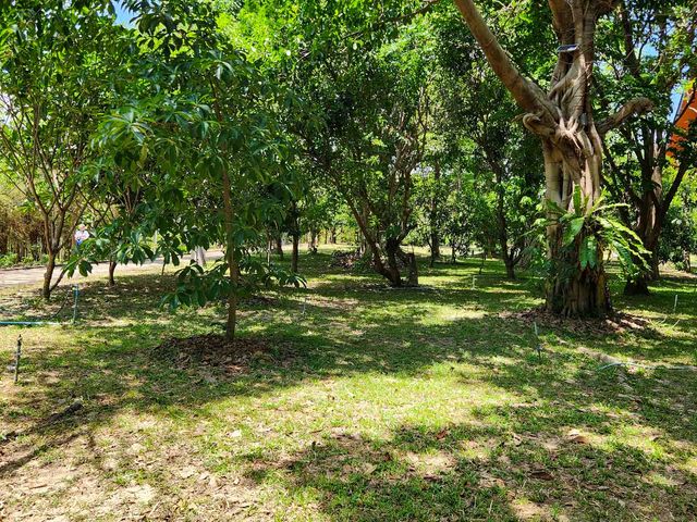 place photo 60