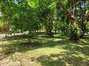 place photo 60