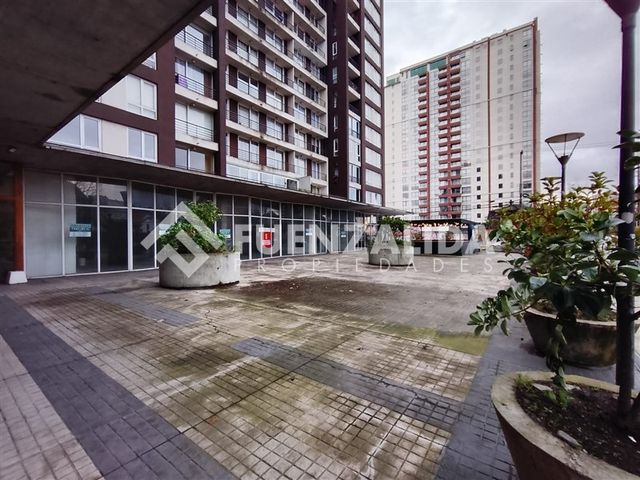 place photo 23