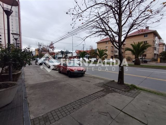 place photo 22