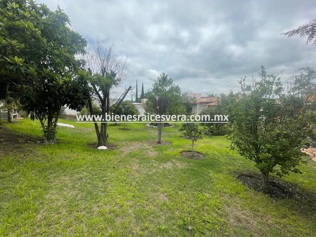 place photo 45