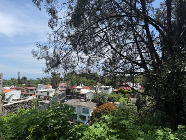 place photo 12