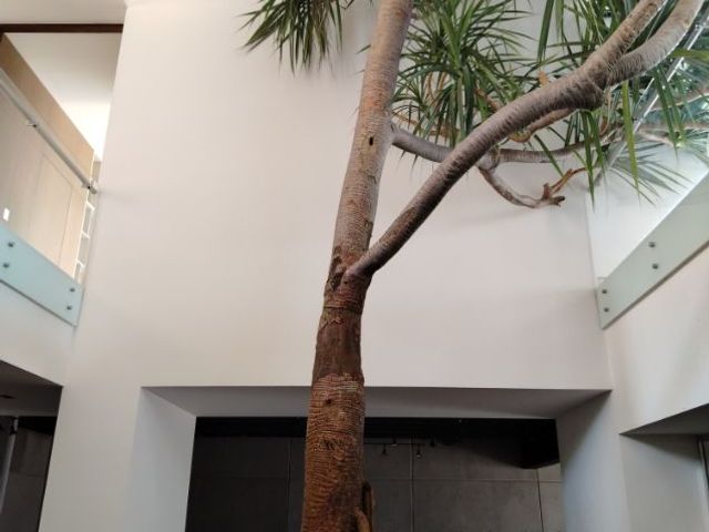 place photo 45