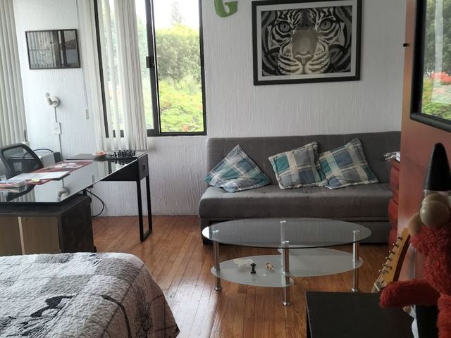 place photo 28