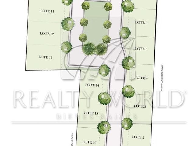 place photo 13