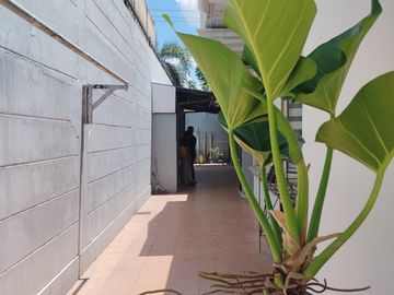 place photo 47