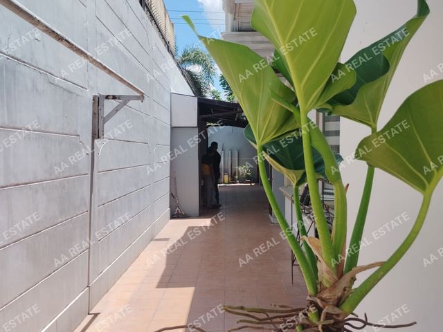 place photo 48