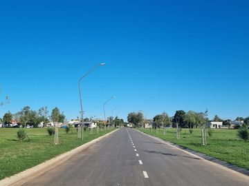 place photo 4