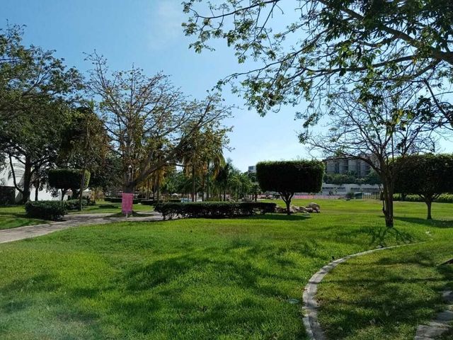 place photo 32