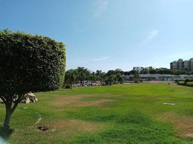 place photo 36