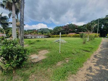 place photo 51